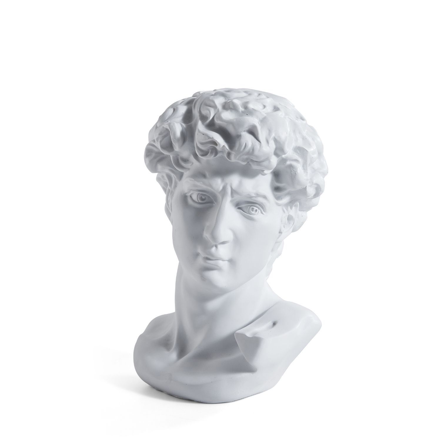 Adonis Bust Accessory Foundry 