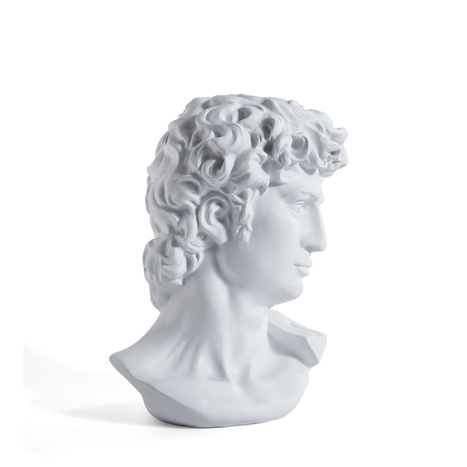 Adonis Bust Accessory Foundry 